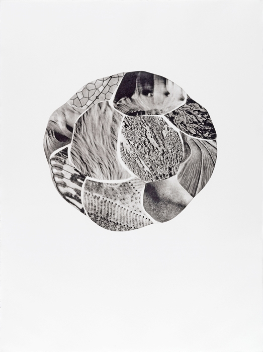 Morphogenic Series Morphogenic Series